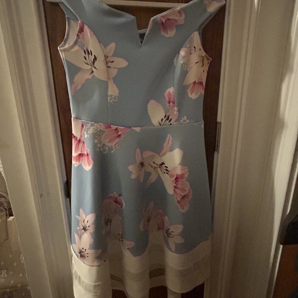 Fit and Flare Floral Lilies  Bright Blue Dress Pre Owned Excellent Condition